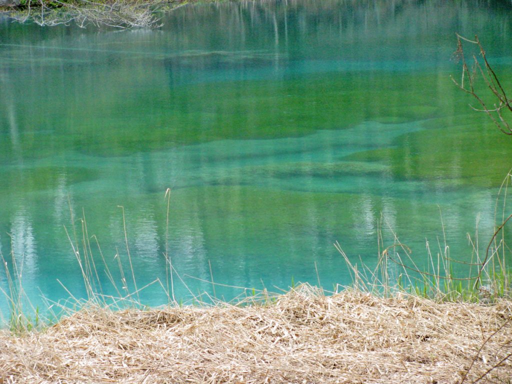 竜神沼　模写 Amazon | HiPlay 墨山海 山海経神獣シリーズ 九天鯤鵬 MAS-01 変形可能