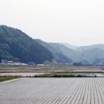 平地の川桁断層崖