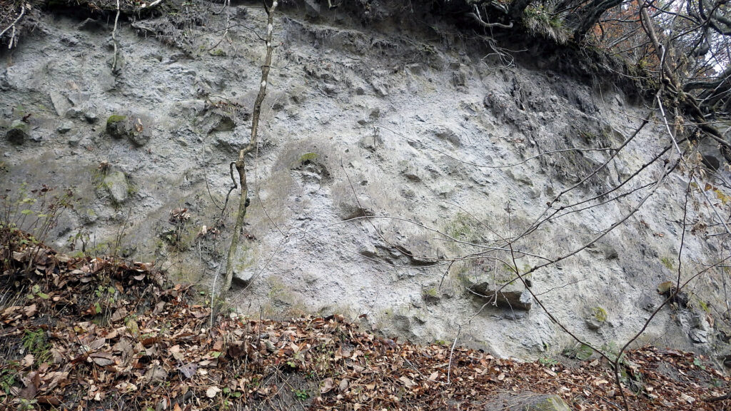 二の沢層のデイサイトの露頭