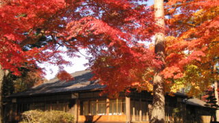 迎賓館と紅葉